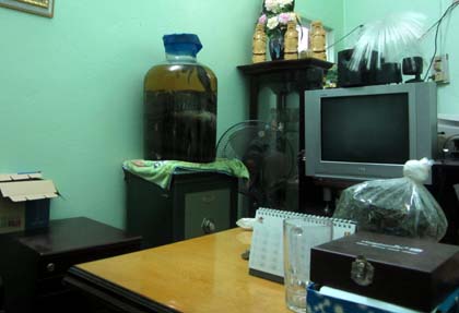 Nữ[-]đại[-]gia[-]và[-]niềm[-]đam[-]mê[-]“quái[-]thú”[-]hổ[-]chúa[-]dài[-]7m